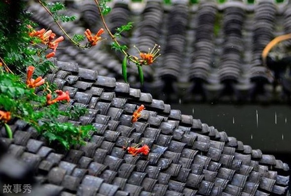 网络图片(侵删)