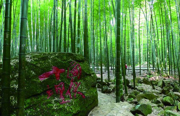 4、安仁县竹海景区