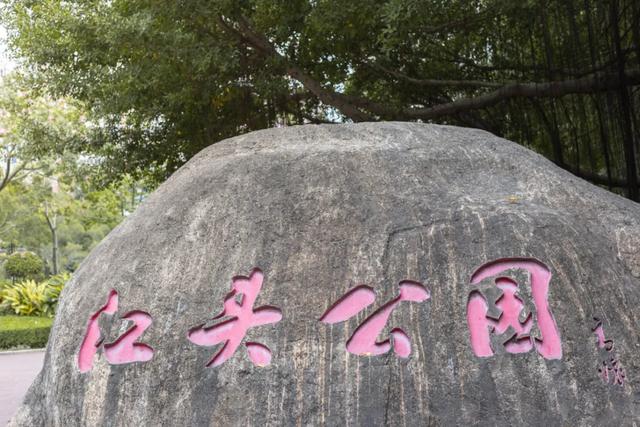 厦门最值得打卡的几个地方（坐地铁逛厦门又美又文艺）(3)