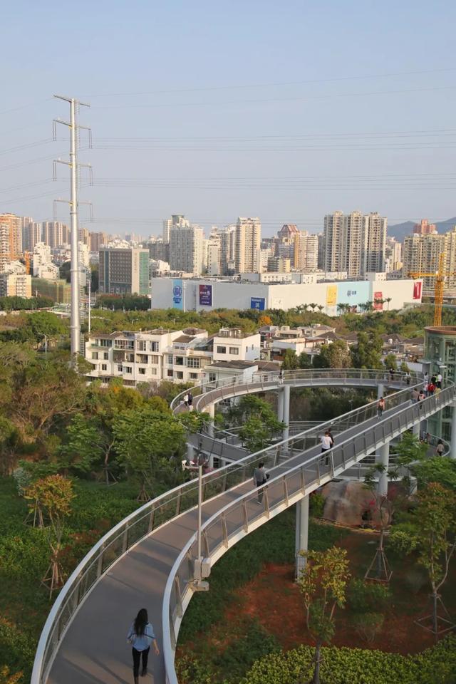 厦门最值得打卡的几个地方（坐地铁逛厦门又美又文艺）(12)