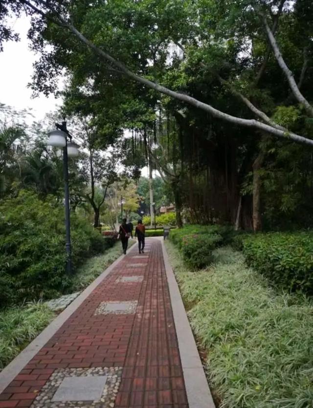 厦门最值得打卡的几个地方（坐地铁逛厦门又美又文艺）(4)