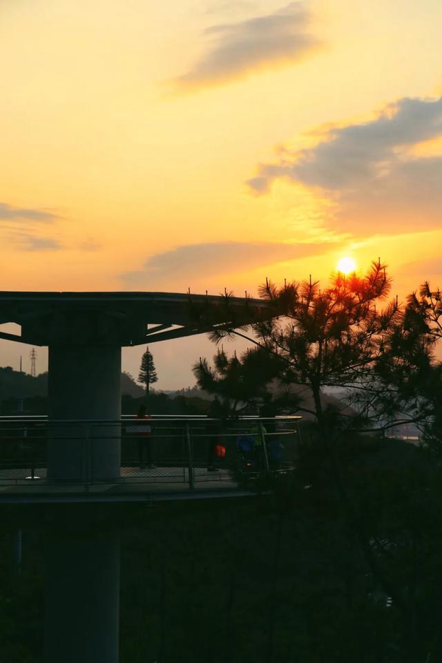 厦门最值得打卡的几个地方（坐地铁逛厦门又美又文艺）(13)