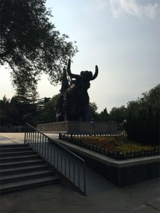 ​小黑测评，济南市动物园（金牛公园）