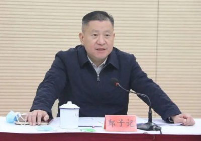 ​区委原书记郑子记被双开！被立案审查调查前以各种方式逃避和对抗组织审查