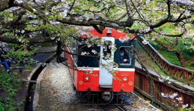 ​请问阿里山在什么地方 阿里山是哪里