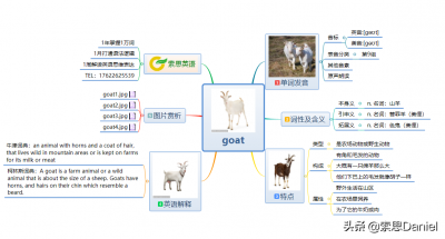 ​山羊英文是什么（山羊英文是什么怎么读）