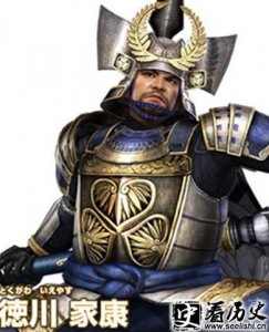 ​江户川武将德川家康有哪些重大成就