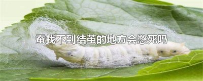 ​蚕在茧中过几天出来 蚕从茧里出来能活多久