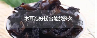 ​木耳泡好捞出能放多久 木耳泡好捞出能放多久不坏