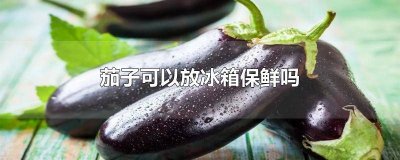 ​泡过水的茄子可以放冰箱保鲜吗 切开的茄子可以放冰箱保鲜吗