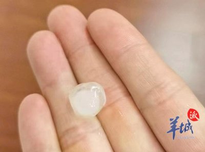 ​32℃的广州为何会“落冰”？气象部门释疑