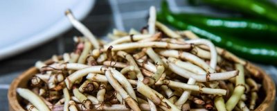 ​折耳根为什么叫猪皮拱
