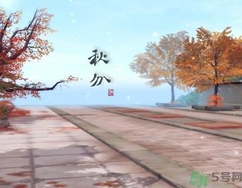 秋分喝什么茶？秋分养生茶饮推荐