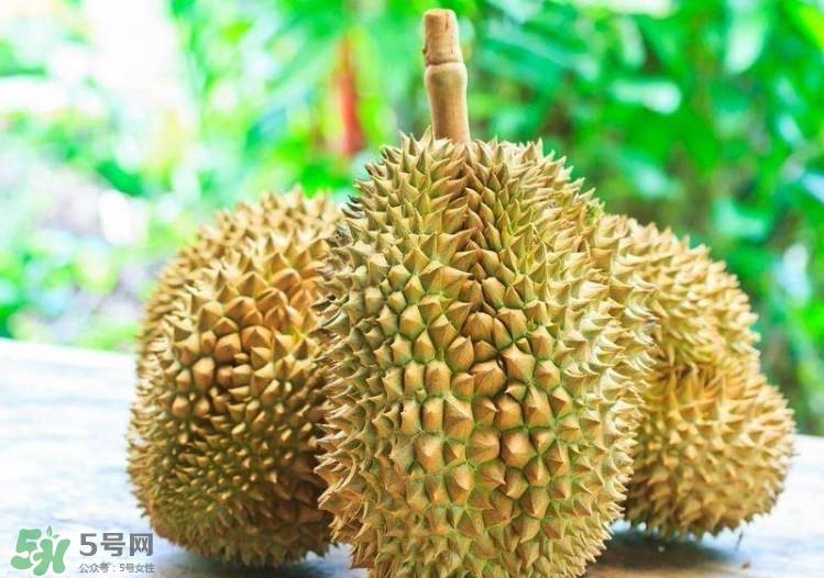 孕妇吃榴莲对胎儿有什么好处？榴莲孕妇一天能吃多少？