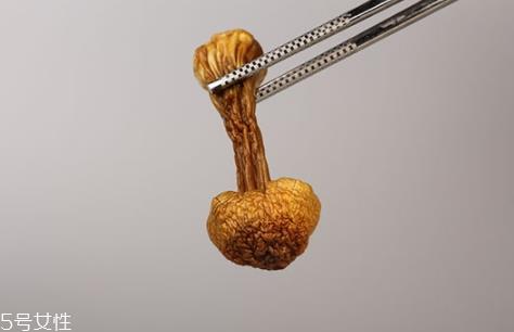 姬松茸的做法 姬松茸这样吃才美味