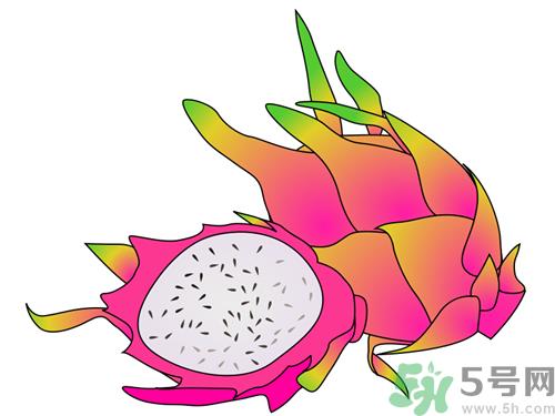火龙果没熟透能吃吗?火龙果没熟怎么办