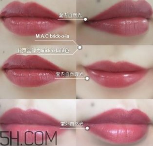 ​mac twig和brick o la一样吗？mac twig和brick o la试色对比