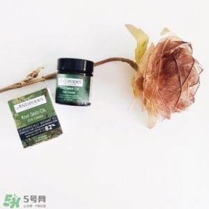 ​antipodes眼霜怎么用?antipodes眼霜使用方法