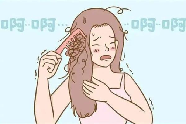 头发水疗的作用与功效 头发水疗可以改善毛躁吗