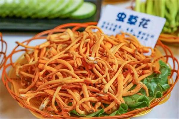 虫草花可以泡茶喝吗 虫草花能不能泡茶