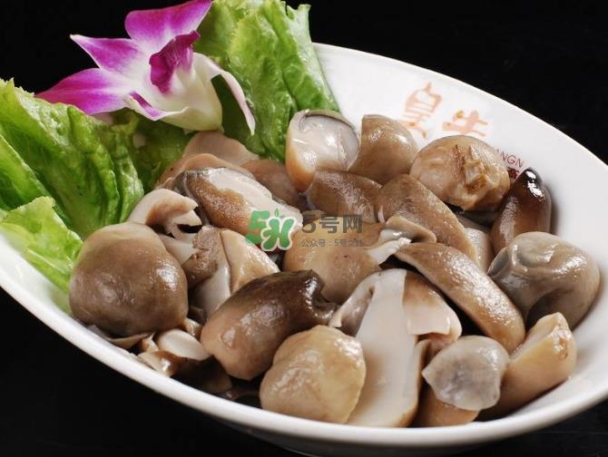 草菇孕妇能吃吗？草菇要煮多久可以吃？