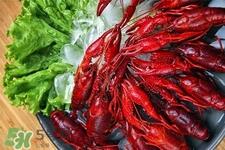 小龙虾可以放冰箱吗？小龙虾冰箱能保存多久？