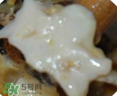 面包蟹是哪里产的？面包蟹哪里不能吃图解