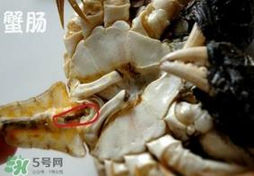 面包蟹是哪里产的？面包蟹哪里不能吃图解