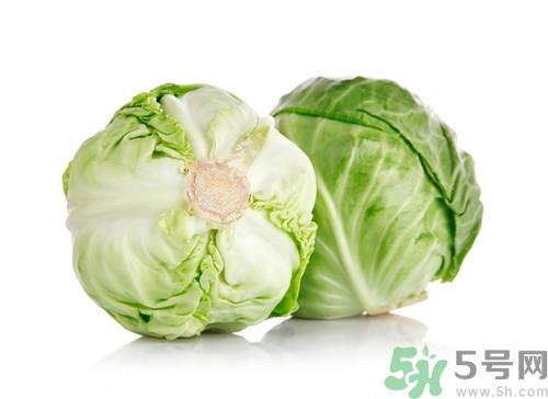 吃包菜会胖吗?包菜的热量是多少