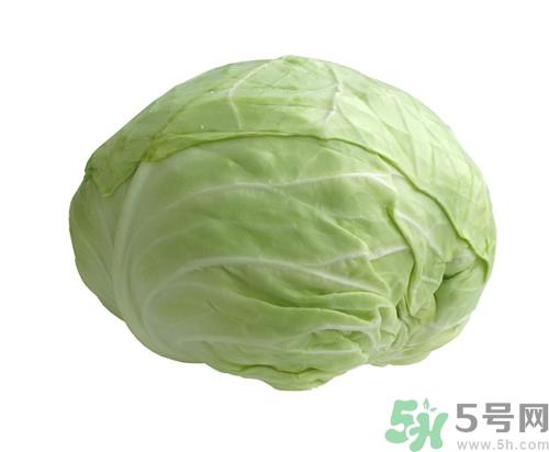 吃包菜会胖吗?包菜的热量是多少