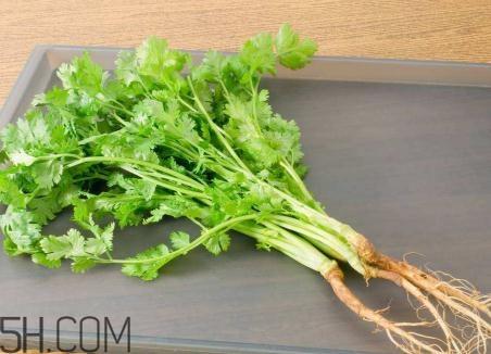 香菜根煮水能美白吗？香菜根煮水能祛斑吗？
