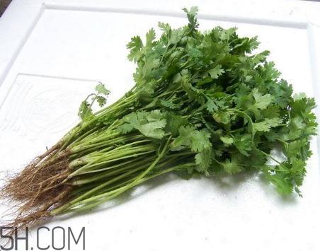 香菜根煮水能美白吗？香菜根煮水能祛斑吗？