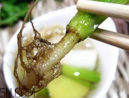 香菜根煮水能美白吗？香菜根煮水能祛斑吗？