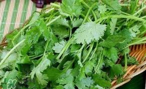 香菜洗肾有科学依据么？香菜能洗肾是真的吗？
