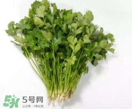 香菜洗肾有科学依据么？香菜能洗肾是真的吗？