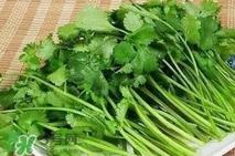 香菜洗肾有科学依据么？香菜能洗肾是真的吗？