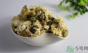野菊花怎么处理后泡茶喝?野菊花泡茶需要洗吗