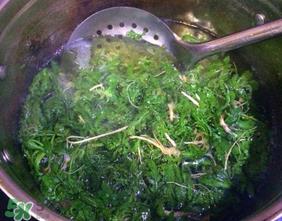 荠菜怎么焯水？荠菜焯水多久？