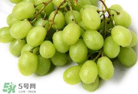 青提怎么洗？青提怎么洗才干净？