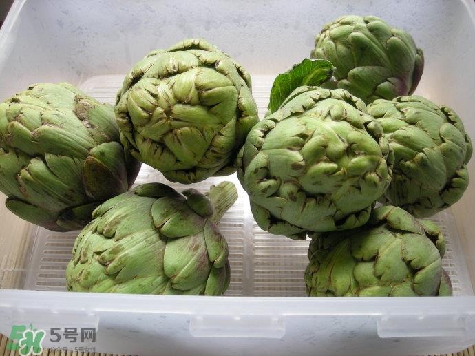 洋蓟的作用 洋蓟的功效