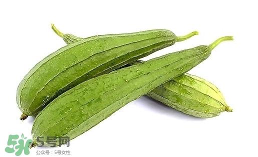孕妇能吃丝瓜吗？孕妇能不能吃丝瓜