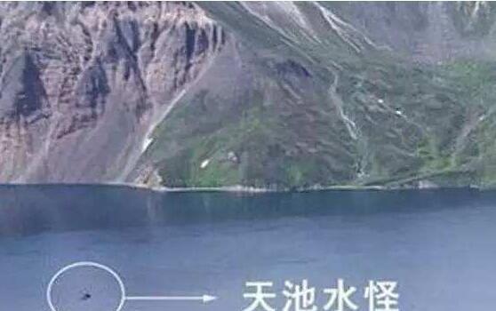 探秘长白山天池水怪抓住了？各种说法不定（可能是鱼被辐射）  4
