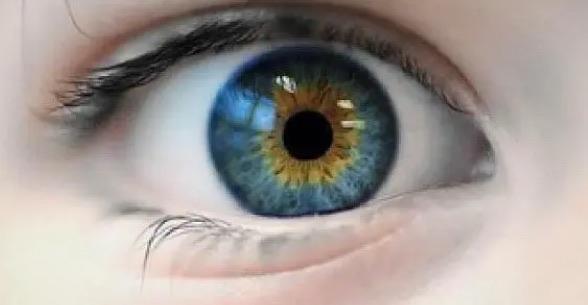探秘全球十大令人羡慕的病（第三种人人都想拥有）  1