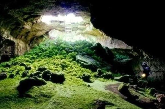 探秘世界十大禁区有哪些（全球著名十大无人区介绍）  1