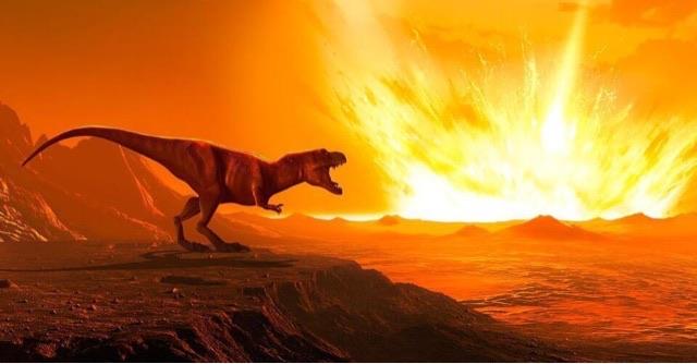 探秘地球第六次生物大灭绝真的要到来了吗?  3