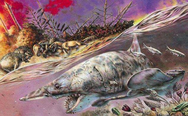 探秘地球第六次生物大灭绝真的要到来了吗?  2