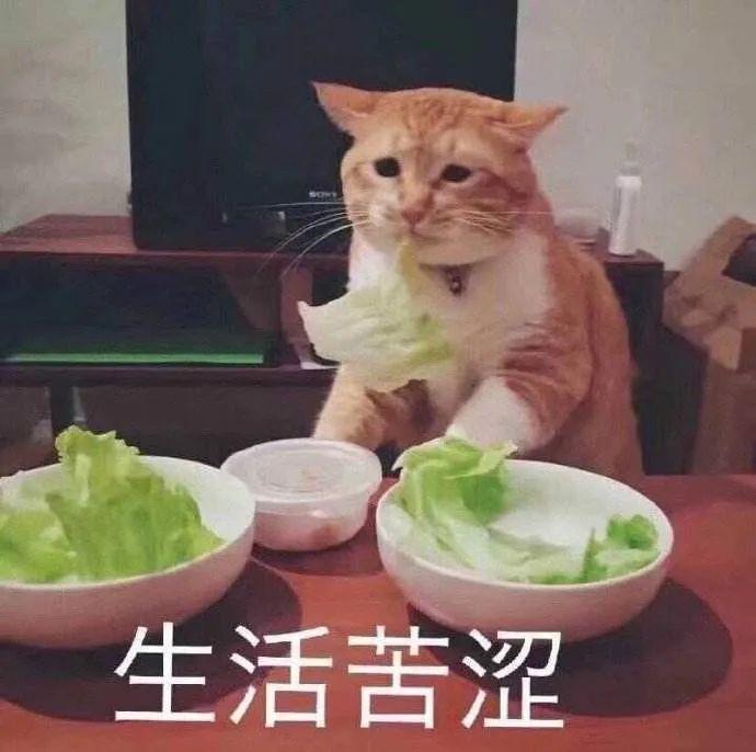 惊了！大半个娱乐圈都被蔬菜汁的减肥骗局给坑了！