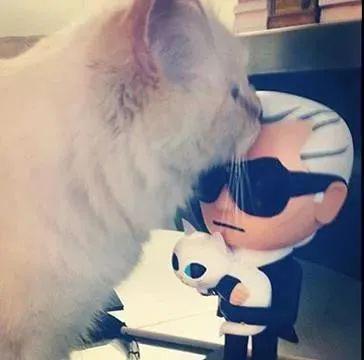 继承老佛爷21亿遗产，那只世界上最富有的猫，现在过得怎么样了？