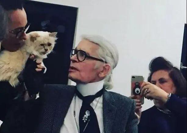 继承老佛爷21亿遗产，那只世界上最富有的猫，现在过得怎么样了？