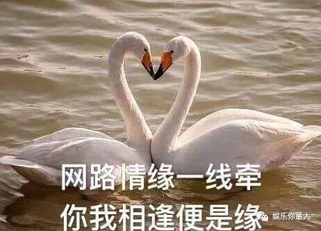 吴大伟跟穆雅斓终于如粉丝所愿分手了......
